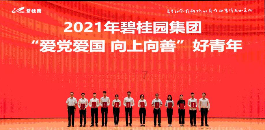 自由小迷宫