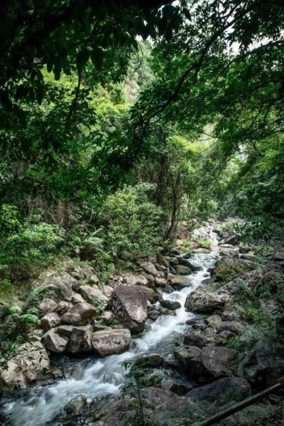 “不老女神”是假的,从林心如到蒋勤勤,个个生图精修反差大